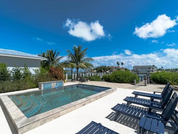 Paradise Palms